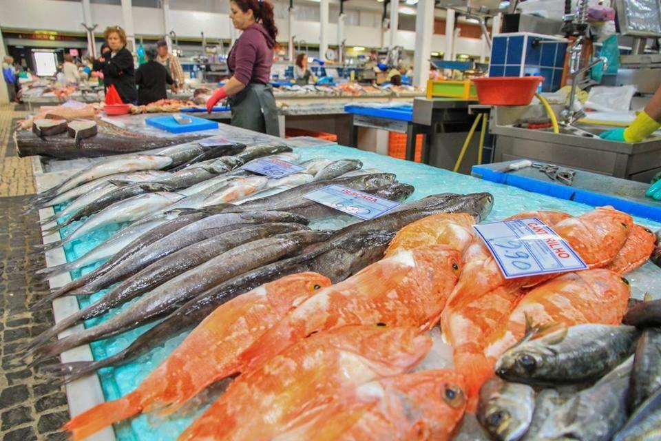 Casa Da Avenida I Lejlighed Setúbal Eksteriør billede